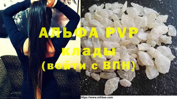 крисы Алексин