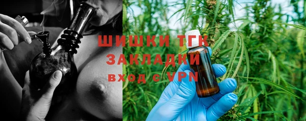 крисы Алексин