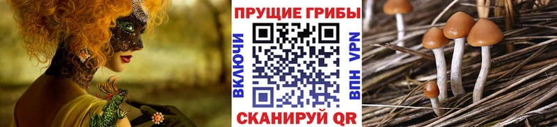 Галлюциногенные грибы прущие грибы Микунь